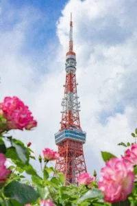 Good shooting spot Japan 9 4903613 l