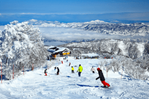 Top 5 Skiing Spots in Japan: A Guide to the Best Slopes 4 Nozawa ski resort