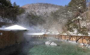 Winter in Japan: 10 Things to do to embrace the Cold in Style 3 winter