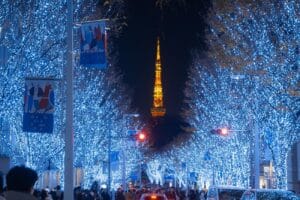 The 5 Spots to Avoid During the Holidays in Tokyo 3 Holiday Tokyo BIJ Official
