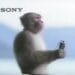 The Story Behind Sony’s Iconic Meditating Monkey Walkman Commercial 5 Sony