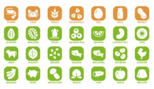 food allergies in japan
