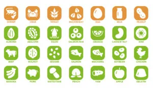 food allergies in japan