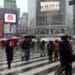 Tsuyu: How Rain Marks Japan’s Seasonal Shifts 5 Tsuyu