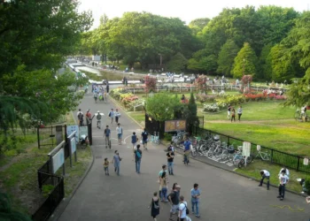 Yoyogi Park