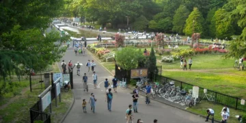 Yoyogi Park
