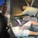 Streamer Turf Wars in Shibuya