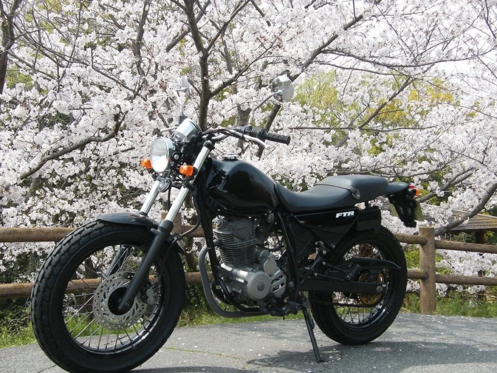 From Permit to Pavement: What You Need to Know About Motorcycles in Japan 2 japan motorcycle BIJ Official