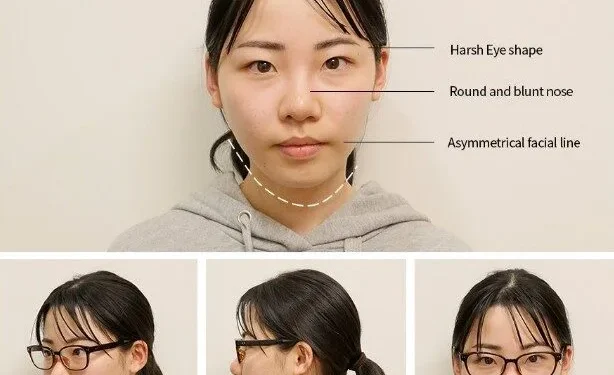 plastic in japan