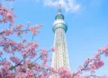 skytree