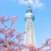 Tokyo Skytree: Japan’s Towering Icon And What To Do Around It 3 skytree