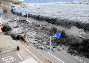 tsunami in japan