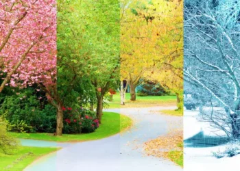 seasons changing in japan
