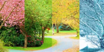 seasons changing in japan