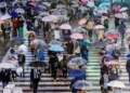 Why It Always Seems to Rain When Seasons Change in Japan 7 Rainy Season in Japan