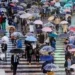 Why It Always Seems to Rain When Seasons Change in Japan 3 Rainy Season in Japan